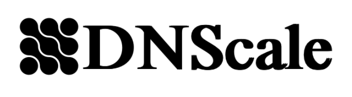 Preview image of website "DNScale - DNS Management Platform built for scale | DNS Hosting Services"